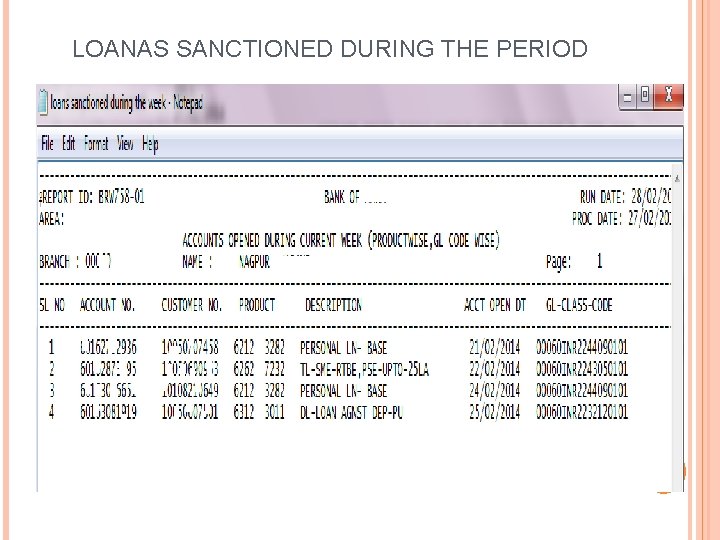 LOANAS SANCTIONED DURING THE PERIOD 