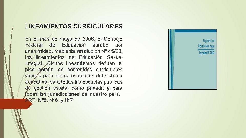 LINEAMIENTOS CURRICULARES En el mes de mayo de 2008, el Consejo Federal de Educación