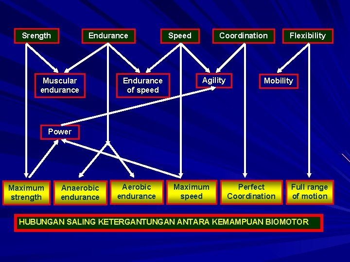 Srength Endurance Muscular endurance Endurance of speed Speed Coordination Agility Flexibility Mobility Power Maximum