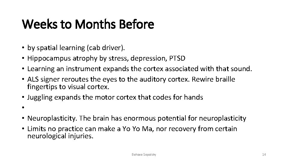 Weeks to Months Before by spatial learning (cab driver). Hippocampus atrophy by stress, depression,