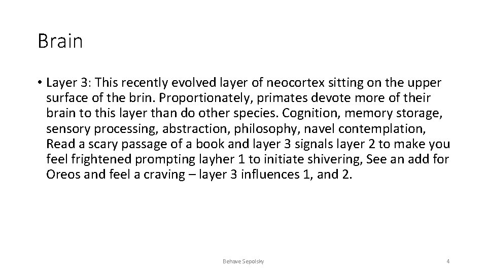 Brain • Layer 3: This recently evolved layer of neocortex sitting on the upper
