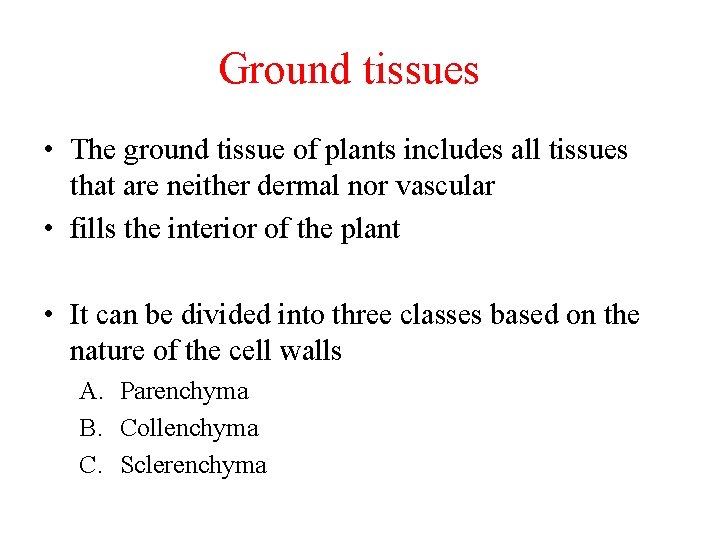 Ground tissues • The ground tissue of plants includes all tissues that are neither