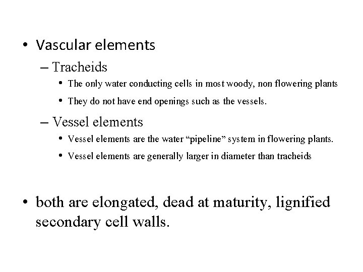  • Vascular elements – Tracheids • The only water conducting cells in most