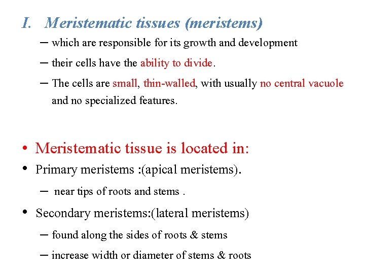 I. Meristematic tissues (meristems) – which are responsible for its growth and development –