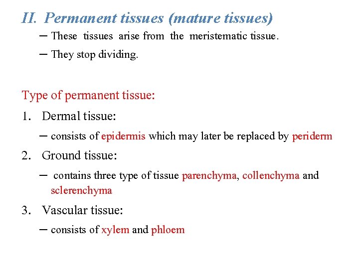 II. Permanent tissues (mature tissues) – These tissues arise from the meristematic tissue. –