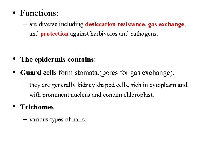  • Functions: – are diverse including desiccation resistance, gas exchange, and protection against
