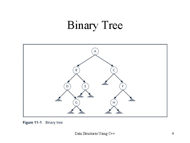 Binary Tree Data Structures Using C++ 4 Binary Tree Data Structures Using C++ 4
