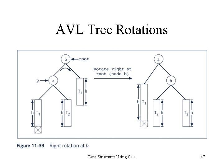 AVL Tree Rotations Data Structures Using C++ 47 AVL Tree Rotations Data Structures Using C++ 47