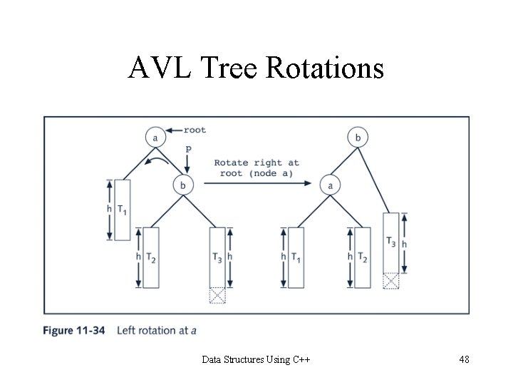 AVL Tree Rotations Data Structures Using C++ 48 AVL Tree Rotations Data Structures Using C++ 48
