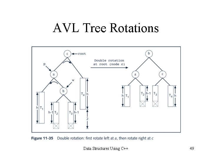 AVL Tree Rotations Data Structures Using C++ 49 AVL Tree Rotations Data Structures Using C++ 49