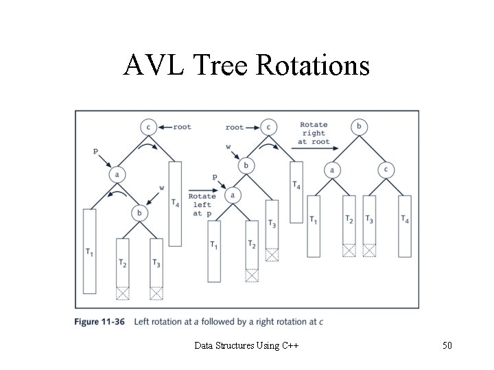 AVL Tree Rotations Data Structures Using C++ 50 AVL Tree Rotations Data Structures Using C++ 50