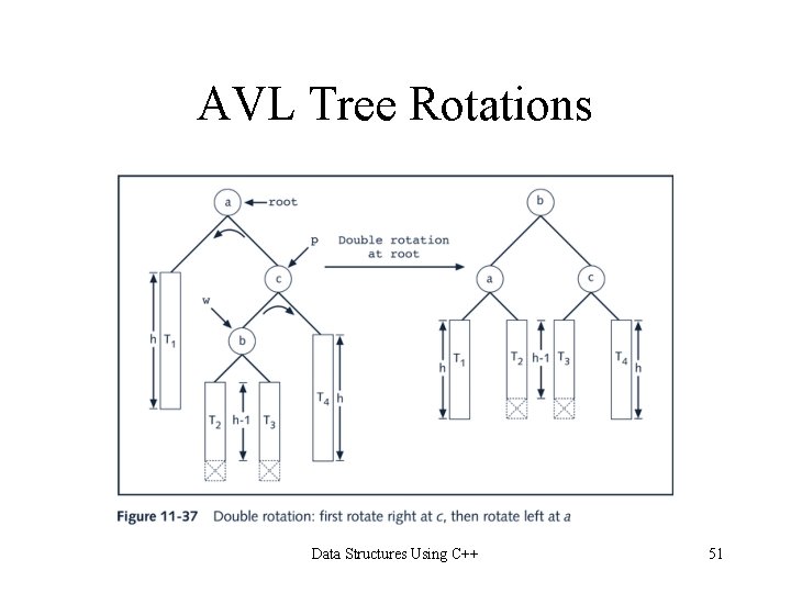 AVL Tree Rotations Data Structures Using C++ 51 AVL Tree Rotations Data Structures Using C++ 51