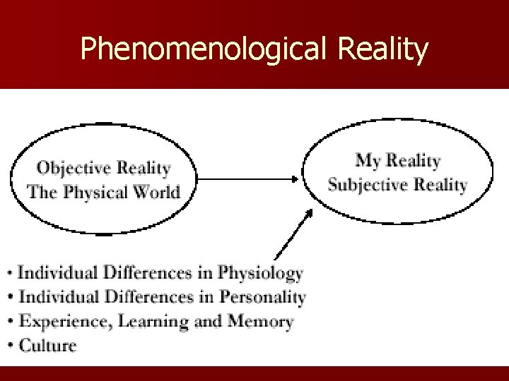 Phenomenological Reality 