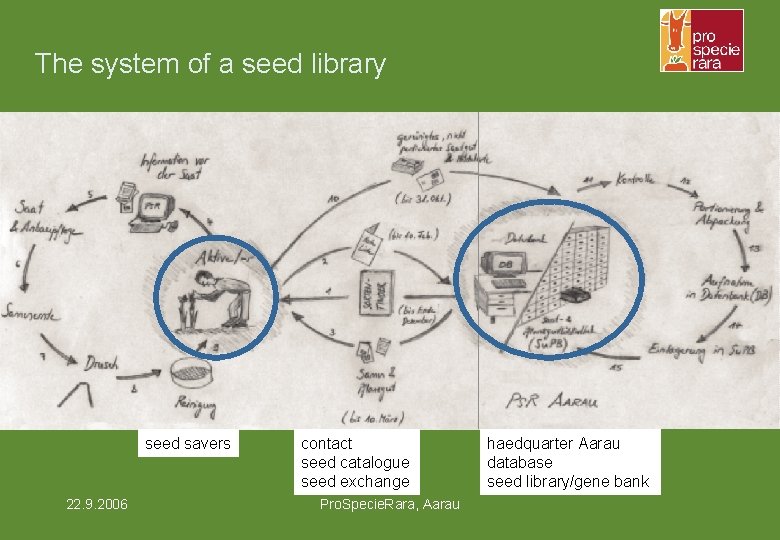 The system of a seed library seed savers 22. 9. 2006 contact seed catalogue