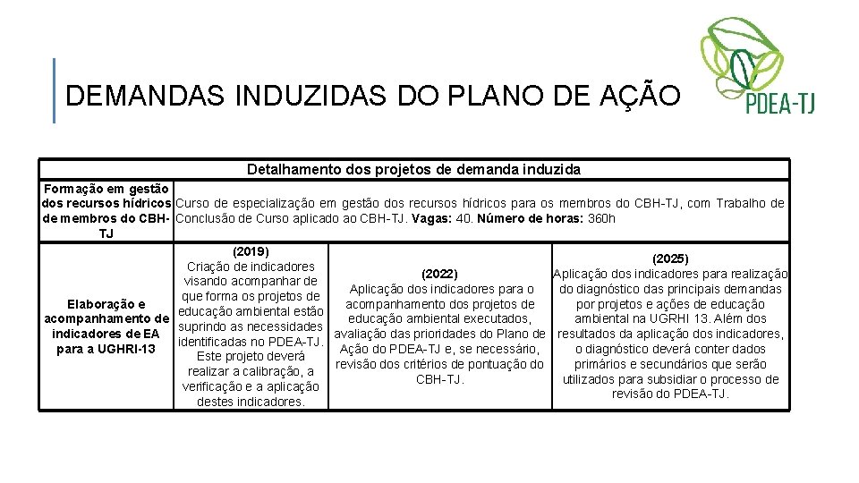 DEMANDAS INDUZIDAS DO PLANO DE AÇÃO Detalhamento dos projetos de demanda induzida Formação em