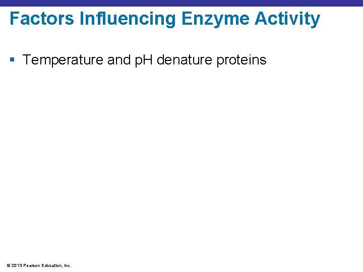 Factors Influencing Enzyme Activity § Temperature and p. H denature proteins © 2013 Pearson