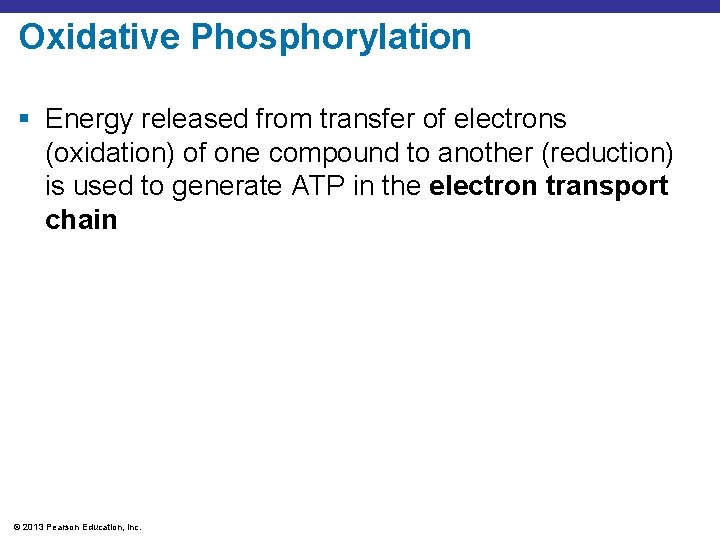 Oxidative Phosphorylation § Energy released from transfer of electrons (oxidation) of one compound to