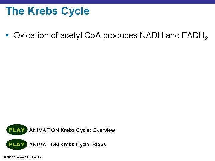 The Krebs Cycle § Oxidation of acetyl Co. A produces NADH and FADH 2
