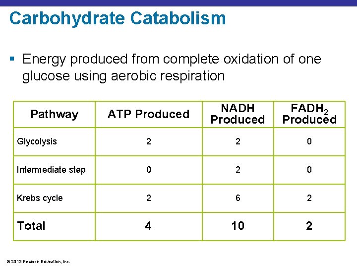 Carbohydrate Catabolism § Energy produced from complete oxidation of one glucose using aerobic respiration