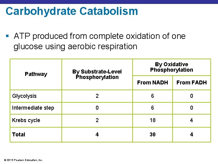 Carbohydrate Catabolism § ATP produced from complete oxidation of one glucose using aerobic respiration