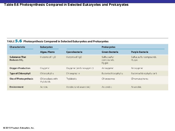 Table 5. 6 Photosynthesis Compared in Selected Eukaryotes and Prokaryotes © 2013 Pearson Education,