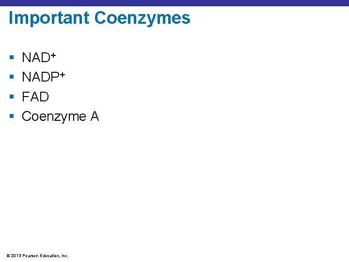 Important Coenzymes § § NAD+ NADP+ FAD Coenzyme A © 2013 Pearson Education, Inc.