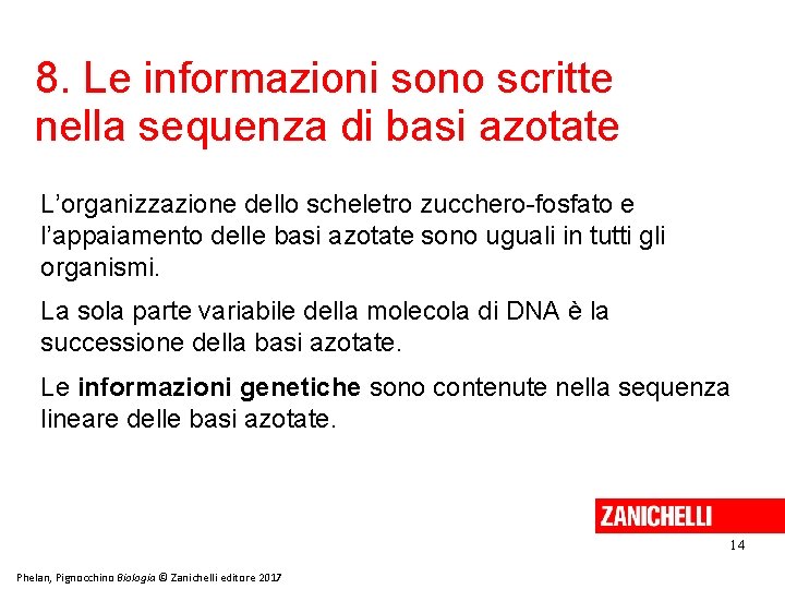 8. Le informazioni sono scritte nella sequenza di basi azotate L’organizzazione dello scheletro zucchero-fosfato