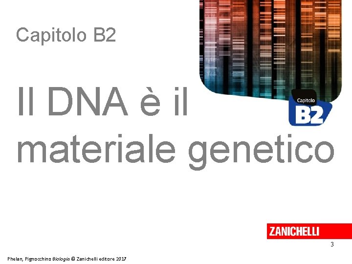 Capitolo B 2 Il DNA è il materiale genetico 3 Phelan, Pignocchino Biologia ©