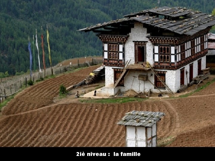 2 iè niveau : la famille 