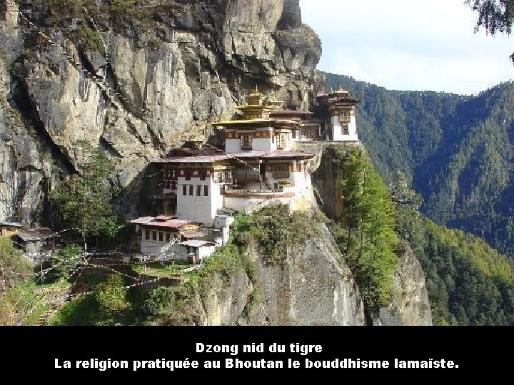 Dzong nid du tigre La religion pratiquée au Bhoutan le bouddhisme lamaïste. 