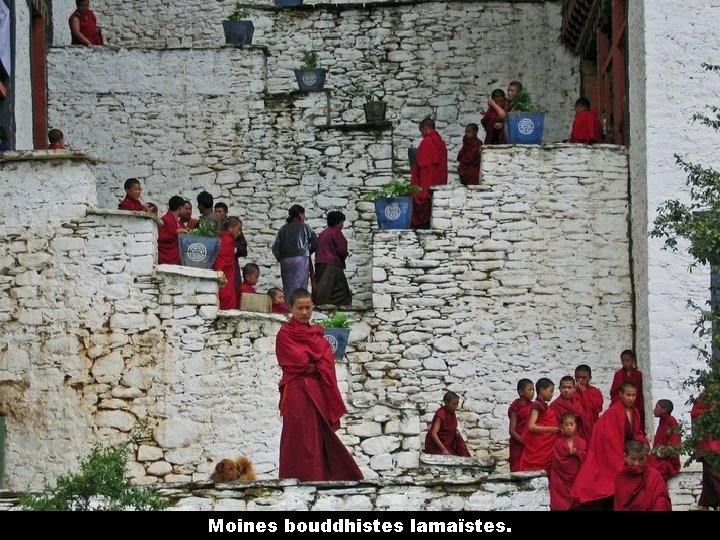 Moines bouddhistes lamaïstes. 