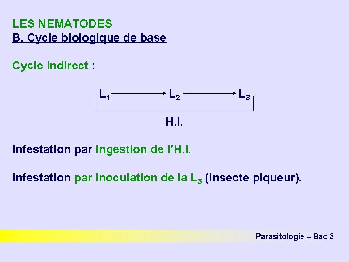 LES NEMATODES B. Cycle biologique de base Cycle indirect : L 1 L 2