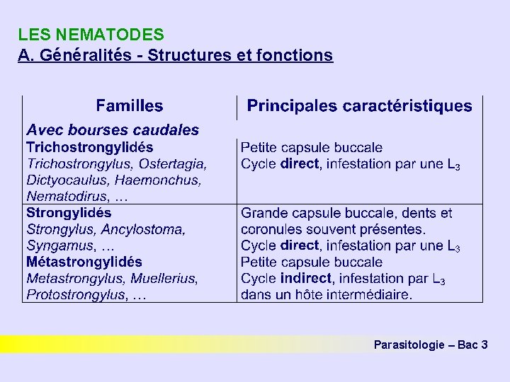 LES NEMATODES A. Généralités - Structures et fonctions Parasitologie – Bac 3 