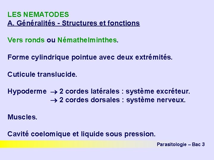 LES NEMATODES A. Généralités - Structures et fonctions Vers ronds ou Némathelminthes. Forme cylindrique