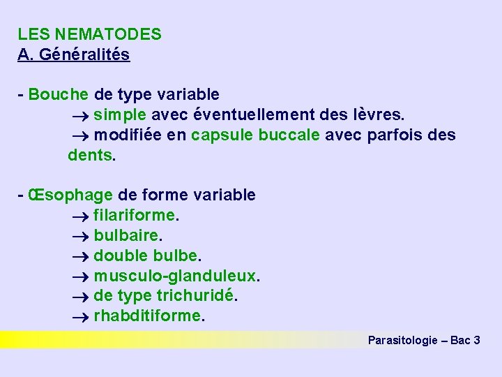 LES NEMATODES A. Généralités - Bouche de type variable simple avec éventuellement des lèvres.