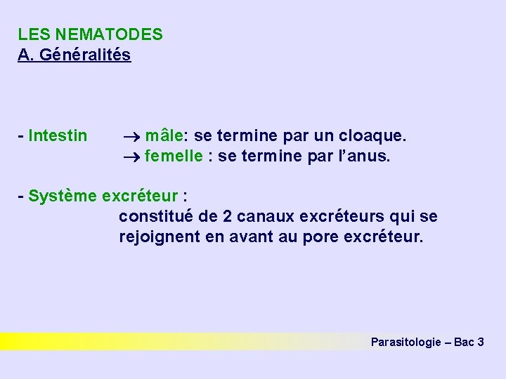 LES NEMATODES A. Généralités - Intestin mâle: se termine par un cloaque. femelle :