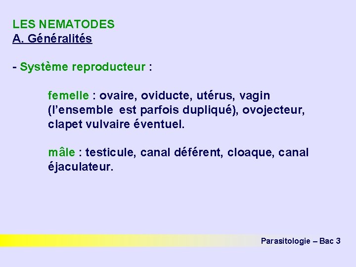 LES NEMATODES A. Généralités - Système reproducteur : femelle : ovaire, oviducte, utérus, vagin