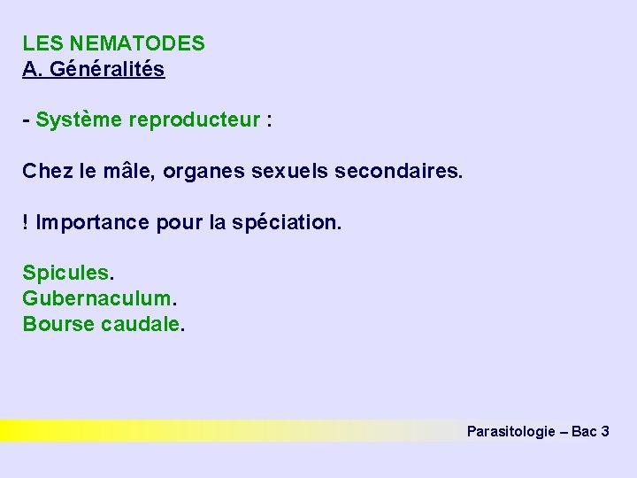 LES NEMATODES A. Généralités - Système reproducteur : Chez le mâle, organes sexuels secondaires.