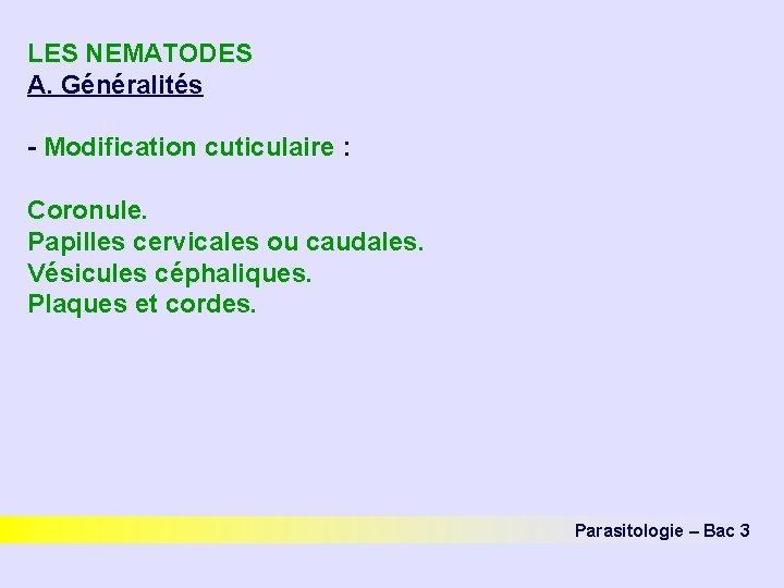 LES NEMATODES A. Généralités - Modification cuticulaire : Coronule. Papilles cervicales ou caudales. Vésicules