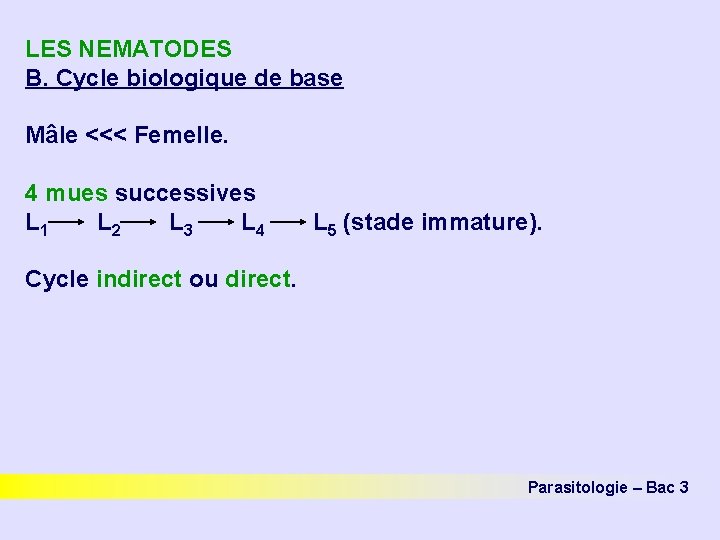 LES NEMATODES B. Cycle biologique de base Mâle <<< Femelle. 4 mues successives L