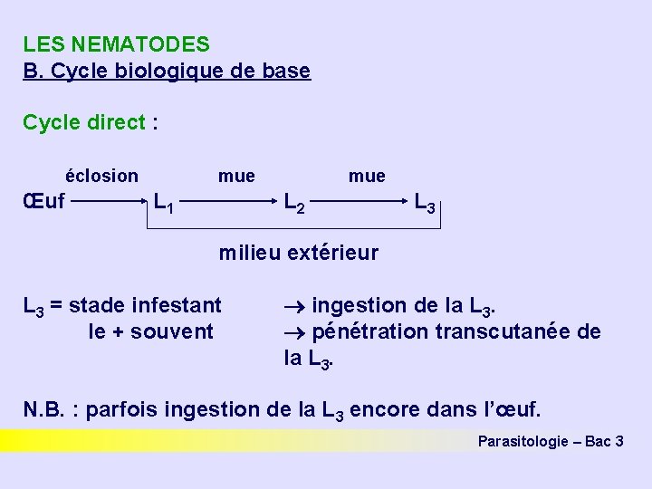 LES NEMATODES B. Cycle biologique de base Cycle direct : éclosion Œuf mue L