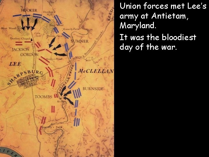  • Union forces met Lee’s army at Antietam, Maryland. • It was the