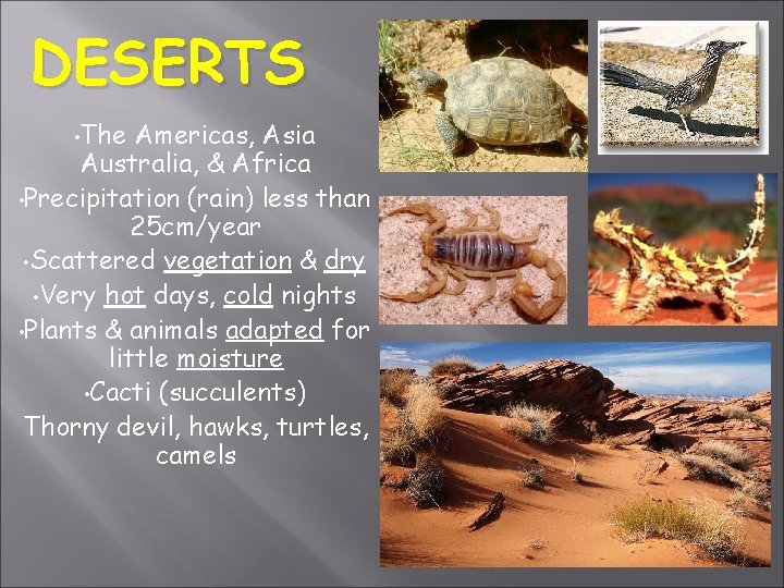 DESERTS • The Americas, Asia Australia, & Africa • Precipitation (rain) less than 25