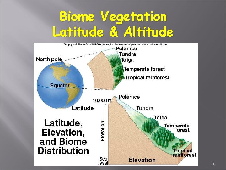 Biome Vegetation Latitude & Altitude 6 