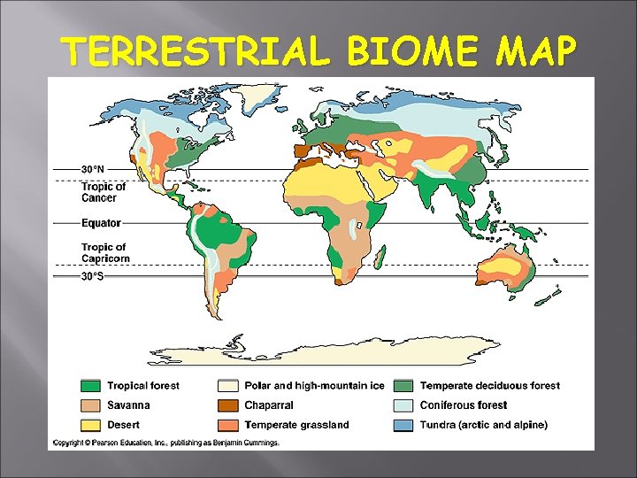 BIOMES 1 LEVELS OF ECOLOGICAL ORGANIZATION Organisms Species