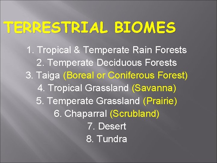 TERRESTRIAL BIOMES 1. Tropical & Temperate Rain Forests 2. Temperate Deciduous Forests 3. Taiga
