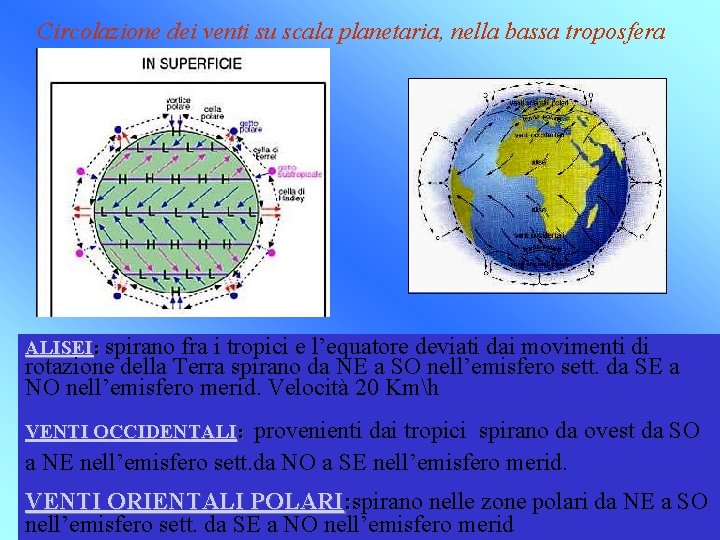 Circolazione dei venti su scala planetaria, nella bassa troposfera ALISEI: spirano fra i tropici