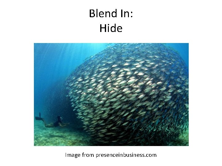Blend In: Hide Image from presenceinbusiness. com 