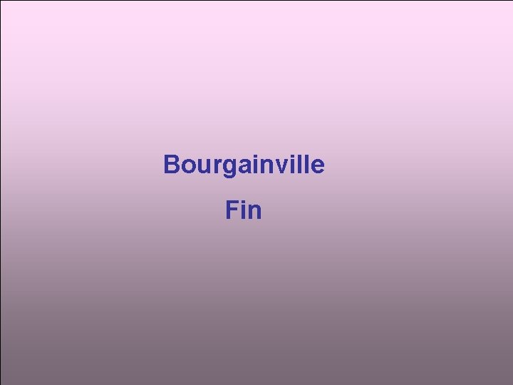 Bourgainville Fin 