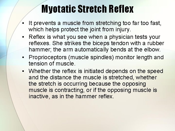 Myotatic Stretch Reflex • It prevents a muscle from stretching too far too fast,